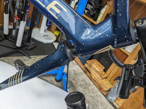 PXL_20231211_043622929