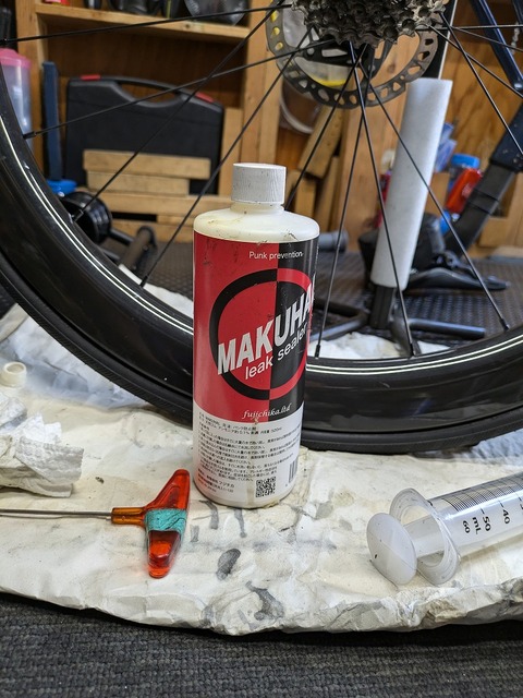 PXL_20240808_064045483