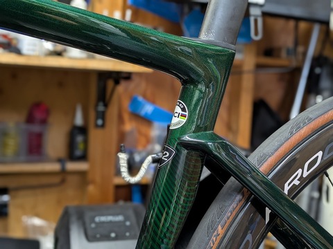 PXL_20250905_014344264.PORTRAIT