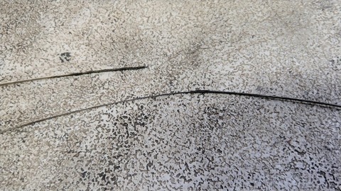 IMAG0525