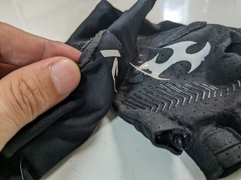 PXL_20230821_033740374