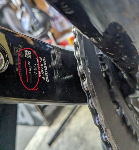 PXL_20240308_055931581