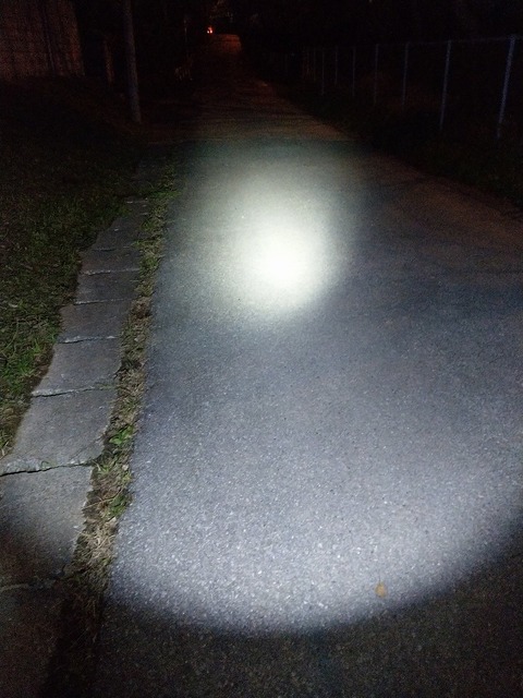 IMAG5244
