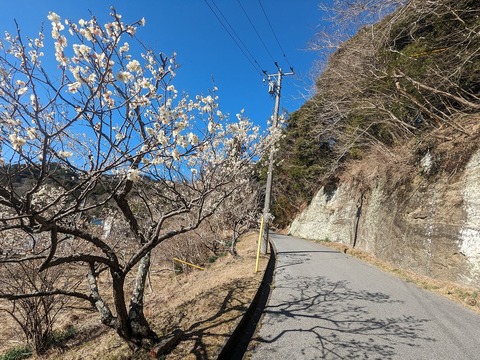 PXL_20240218_003833349