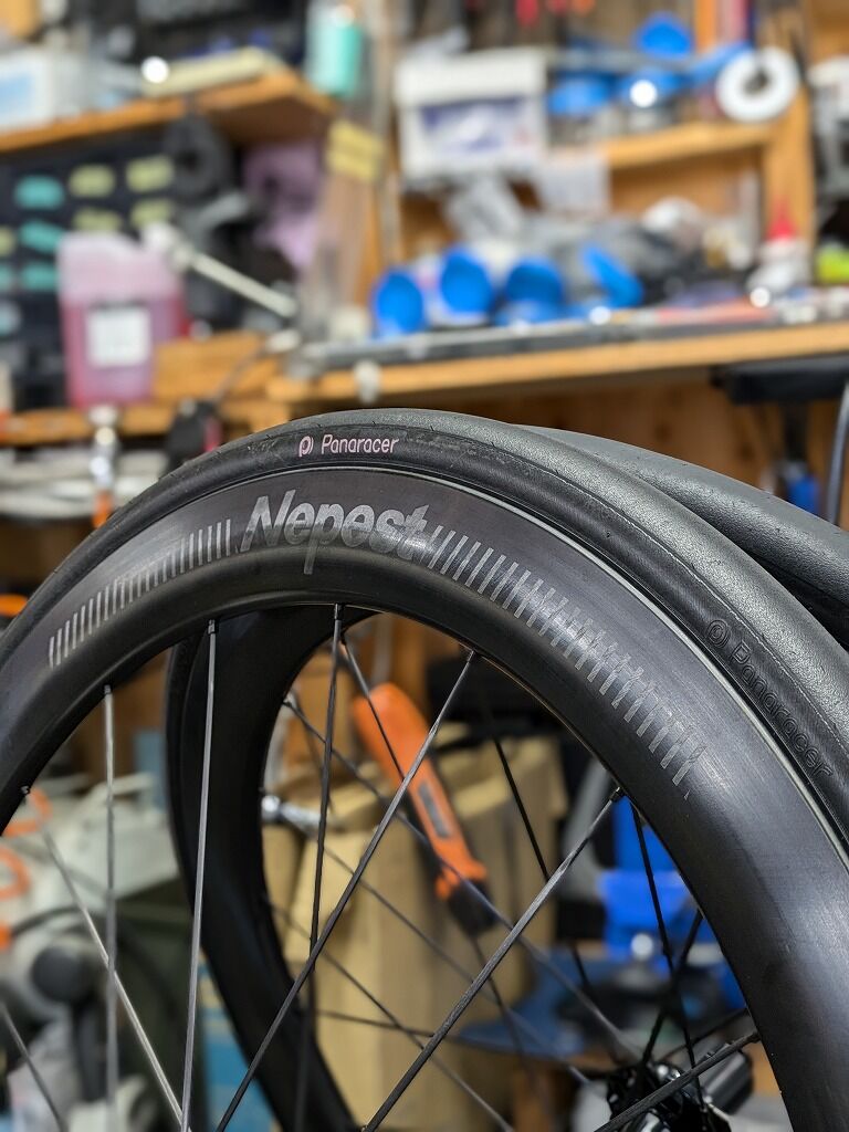 Nepest MAUI 50 カーボンホイール DT240ハブ シマノフリー Nepest MAUI50 超軽量ホイールで650㎞走った感想｜かつおちゃんねる