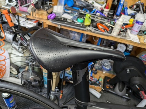 PXL_20241105_050706308