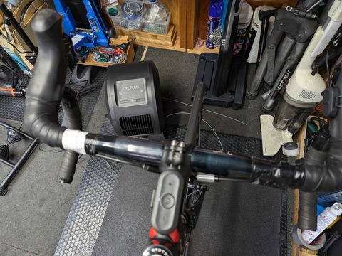 PXL_20241121_005636528