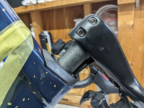 PXL_20231211_044938106