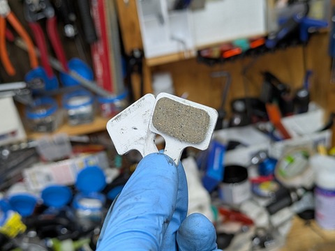 PXL_20250604_080155691.PORTRAIT.ORIGINAL