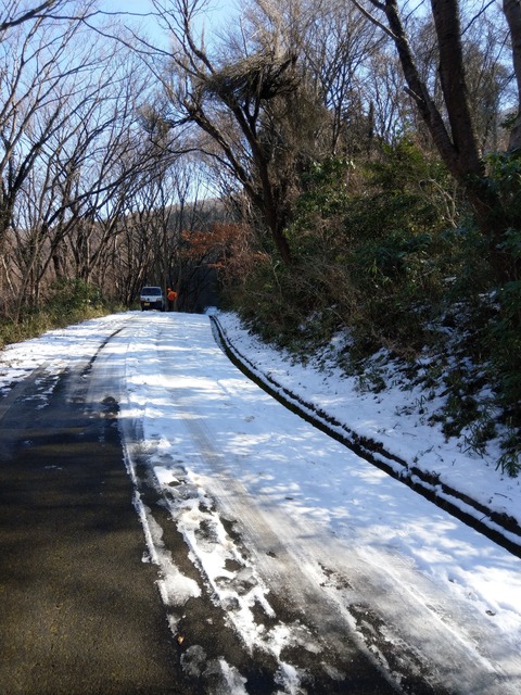 IMAG6264_R
