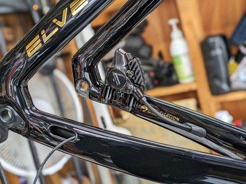 PXL_20240328_011434615.PORTRAIT