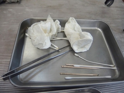 P4204020