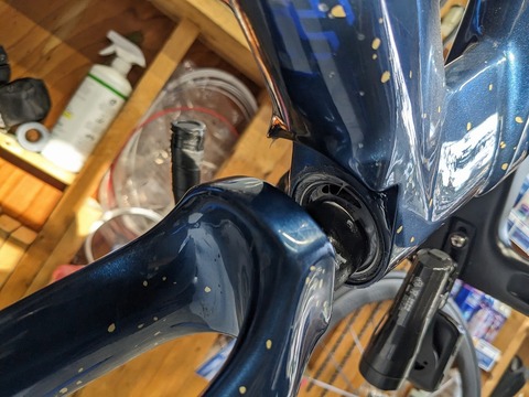 PXL_20231211_044258980