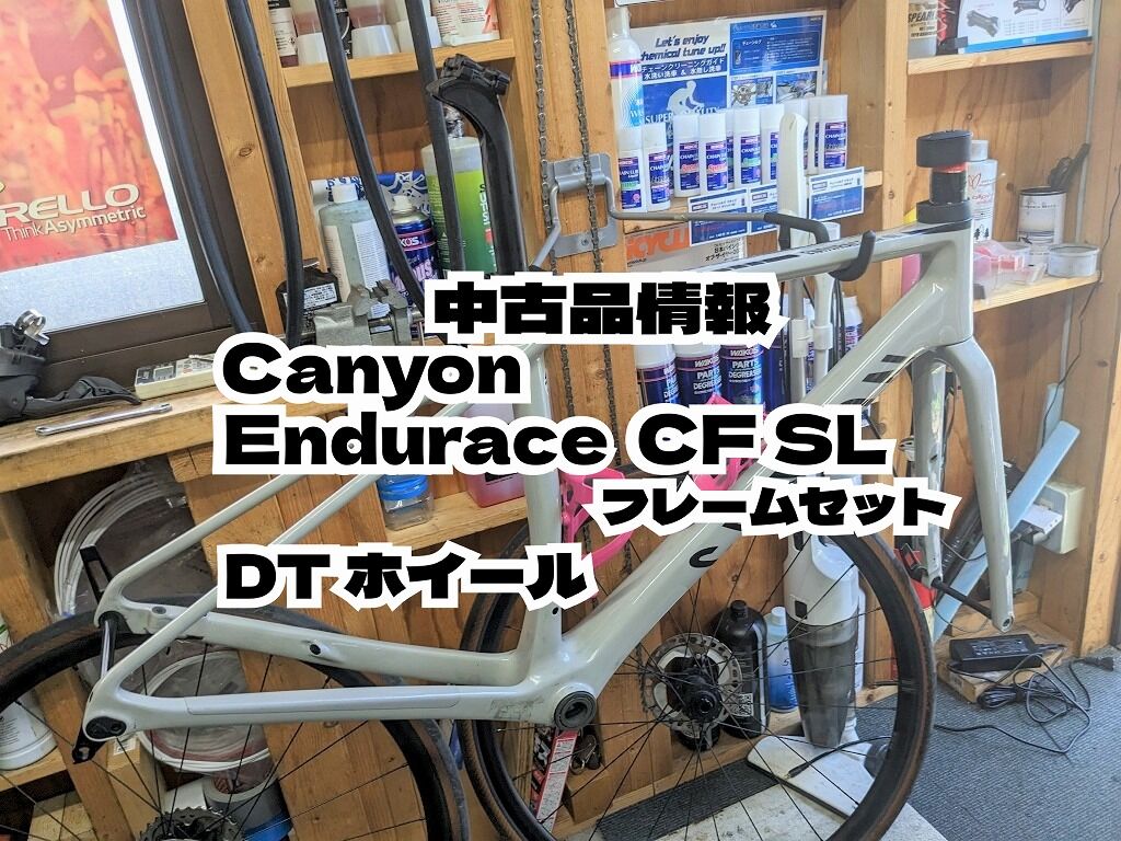 値下げ！【中古品販売】Canyon Endurace CF SL フレームセット＋DT