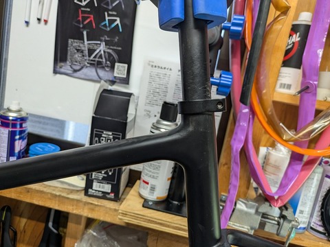 PXL_20250815_234642280.MP