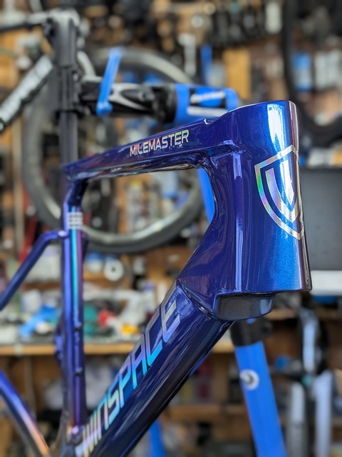 PXL_20260129_035107871.PORTRAIT