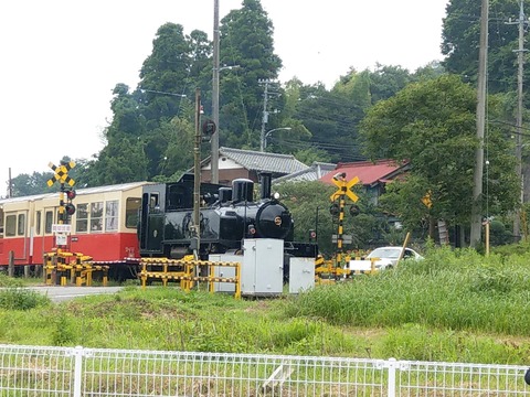 IMAG8531_R