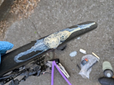 PXL_20251212_223511121