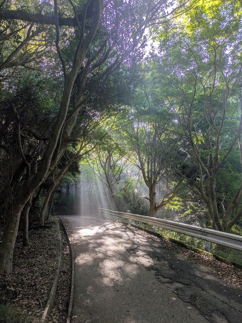 PXL_20251004_222635638