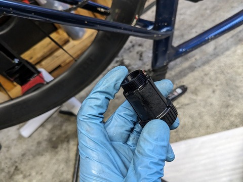 PXL_20231121_053115657