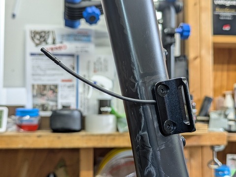 PXL_20251008_043026265.PORTRAIT.ORIGINAL