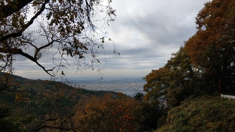 IMAG0664_R