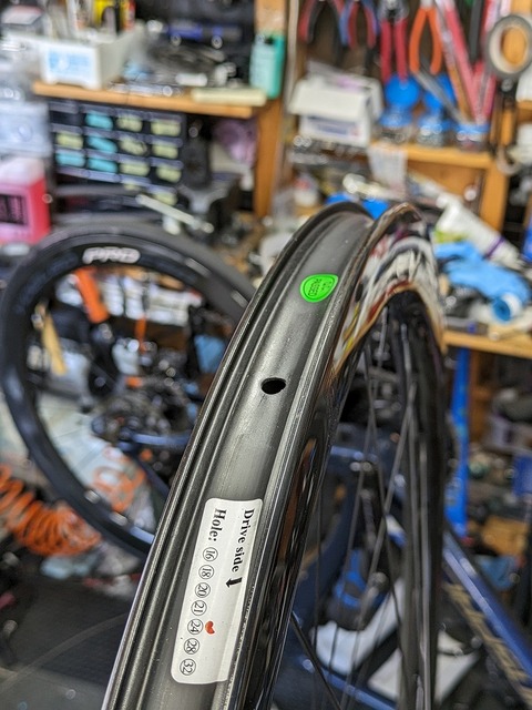 PXL_20240612_042702230.PORTRAIT