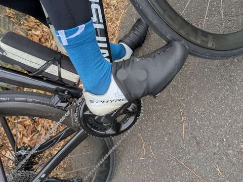 PXL_20251211_003958356