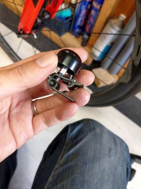 IMAG7355