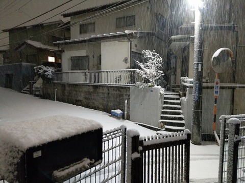 IMAG0513
