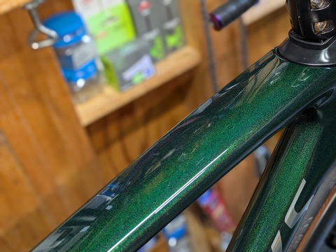 PXL_20250905_013949029.PORTRAIT