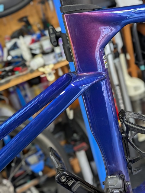 PXL_20260206_020728489.PORTRAIT