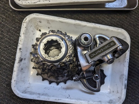 PXL_20240126_051557484