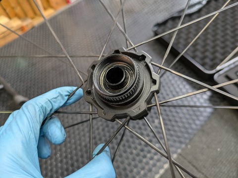 PXL_20250126_231208864