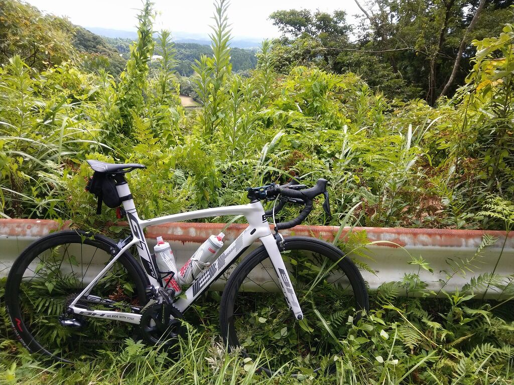 ロードバイクの車体カラーごとの特徴 汚れ 傷 お手入れ等について えふえふぶろぐ