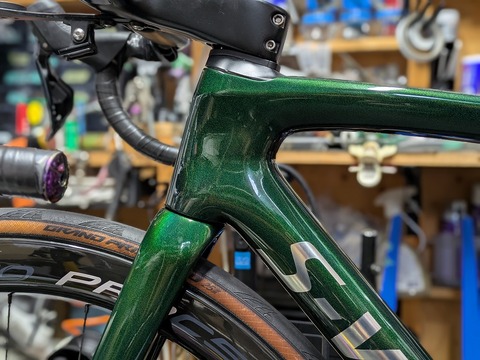 PXL_20250905_014334399.PORTRAIT