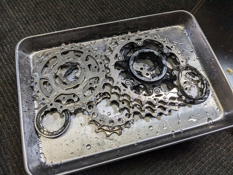 PXL_20230608_030105308