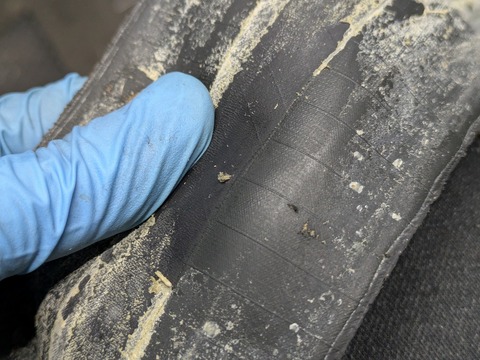 PXL_20251213_054619788