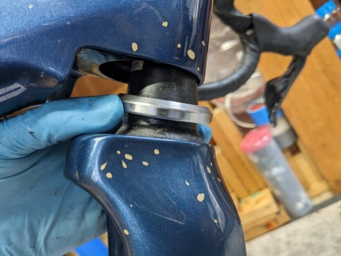 PXL_20231211_044108480