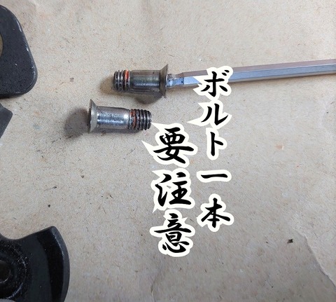 image24751