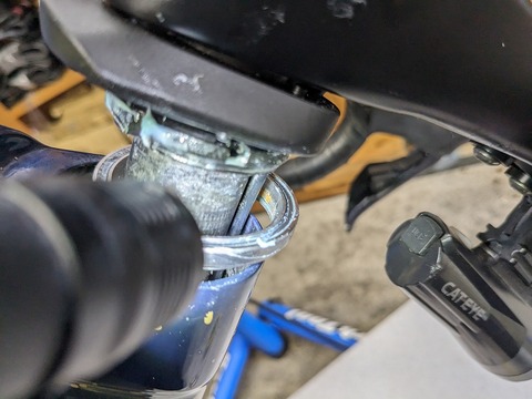 PXL_20231211_044630417