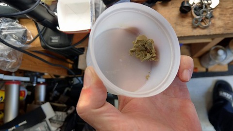 IMAG0657