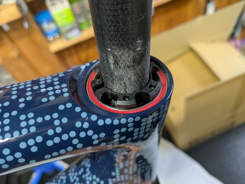 PXL_20250401_215529713
