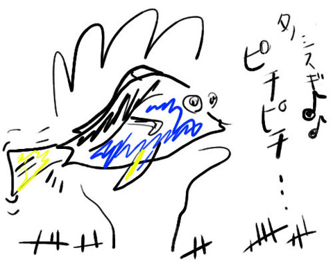 ドリー4
