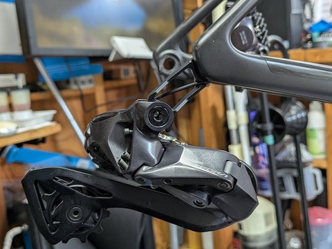 PXL_20251008_044426809.PORTRAIT.ORIGINAL