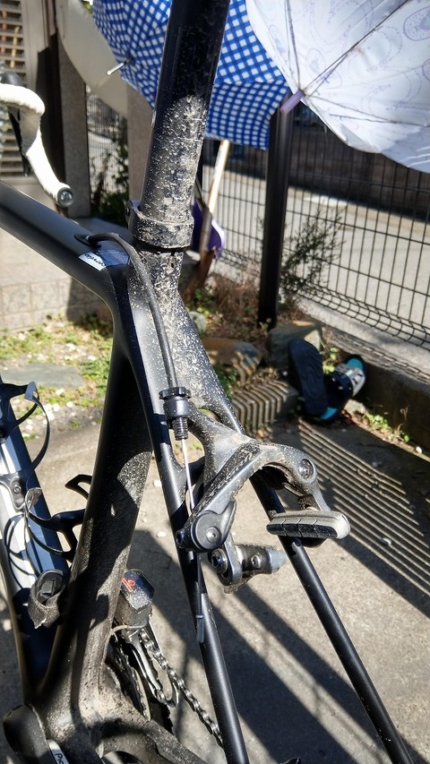 IMAG0040