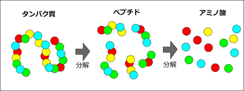 rect4505