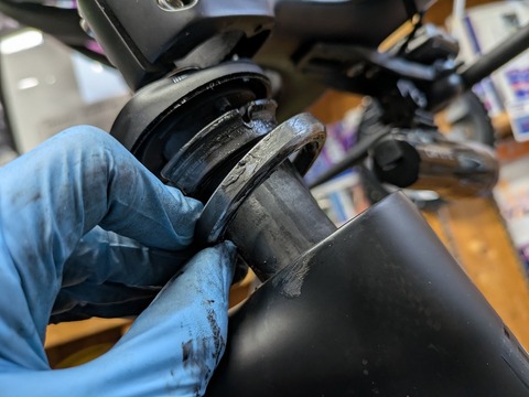 PXL_20250115_071924401 (1)