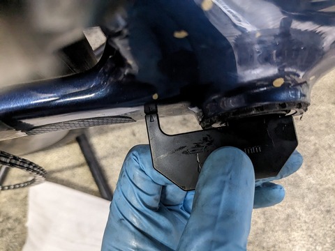 PXL_20231121_052433918