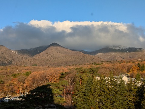 PXL_20241118_220246299